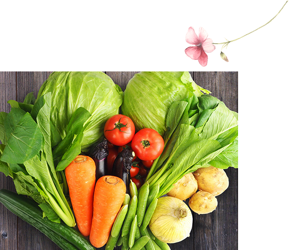 新鮮な野菜の写真