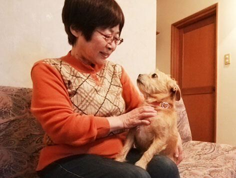 ペットと一緒に泊まるイメージ