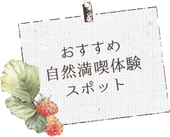 おすすめ自然満喫体験スポット