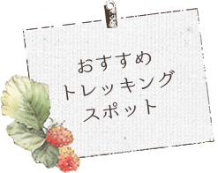 おすすめトレッキングスポット