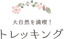 大自然を満喫！ トレッキング