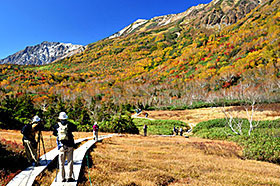 栂池自然公園イメージ