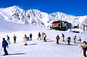 白馬八方尾根スキー場イメージ